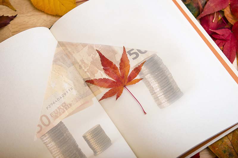 爷爷奶奶共同遗嘱范文
