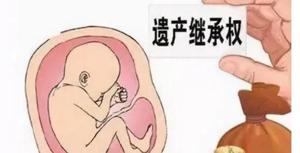 2021遗腹子有继承权？遗腹子能获得交通赔偿？